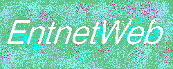 Entnet web ւ悤I